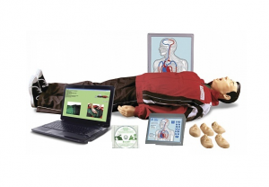 "Максим III-01" тренажер сердечно-легочной и мозговой реанимации - fgospostavki.ru - Иркутск