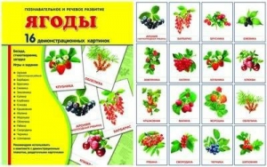 Демонстрационные карточки "Ягоды" - fgospostavki.ru - Иркутск