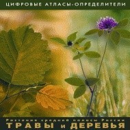 Растения средней полосы России "Травы и Деревья". (Цифровые атласы-определители) - fgospostavki.ru - Иркутск