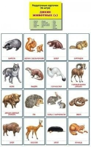 Раздаточные карточки "Дикие животные (1)" - fgospostavki.ru - Иркутск