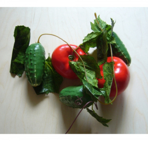 Ветка муляжей "Ассорти" (овощи) - fgospostavki.ru - Иркутск