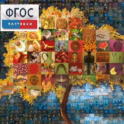 Начальная школа. Иностранный язык. (Цифровая база изображений) - fgospostavki.ru - Иркутск