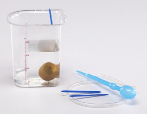 Сосуд Архимеда - fgospostavki.ru - Иркутск