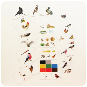 Набор магнитных карточек "Загадки-отрицания". Птицы - fgospostavki.ru - Иркутск