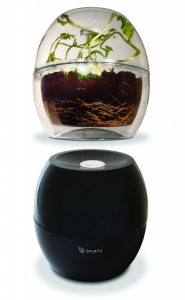 Набор для выращивания растений на свету и в темноте - fgospostavki.ru - Иркутск