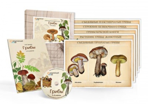 Комбинированное наглядное пособие  «Грибы» - fgospostavki.ru - Иркутск