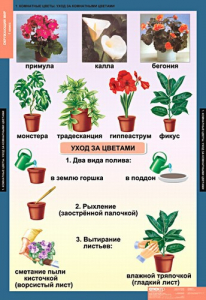 Комплект таблиц. Окружающий мир 1 класс. - fgospostavki.ru - Иркутск