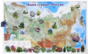 Магнитные карточки "Растения" - fgospostavki.ru - Иркутск