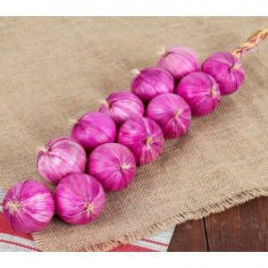 Муляжи "Связка лука" - fgospostavki.ru - Иркутск