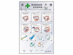 Интерактивный стенд "Живые зубки" - fgospostavki.ru - Иркутск