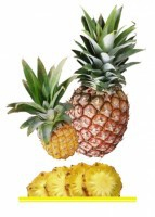 Комплект карточек "Запоминай, играй, считай" - Фрукты - fgospostavki.ru - Иркутск