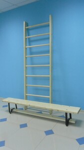 Стенка гимнастическая шведская премиум (1000х3200 мм) - fgospostavki.ru - Иркутск