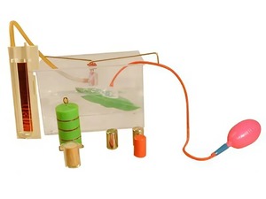 Лабораторный набор "Гидростатика, плавание тел" - fgospostavki.ru - Иркутск