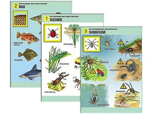 Комплект таблиц "Окружающий мир. Животный мир" (8 таблиц, А1, ламинированные) - fgospostavki.ru - Иркутск