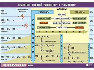 Таблица демонстрационная "Сравнение понятий изомер и гомолог" (винил 70x100) - fgospostavki.ru - Иркутск