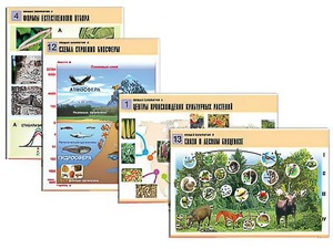 Комплект таблиц по биологии демонстрационных "Общая биология 2" (14 таблиц, формат А1, ламинированные) - fgospostavki.ru - Иркутск