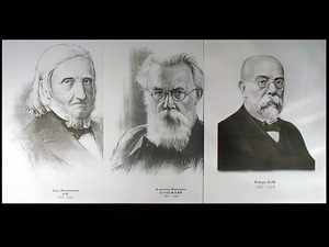 Портреты биологов (26 штук, формат А3) - fgospostavki.ru - Иркутск