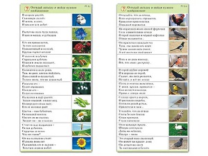 Комплект карточек (10) "Обучающий калейдоскоп. Природа" - fgospostavki.ru - Иркутск