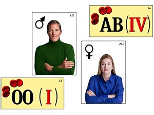 Модель-аппликация "Генетика групп крови" (ламинированная) - fgospostavki.ru - Иркутск