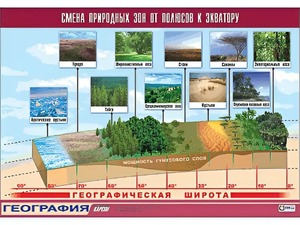 Таблица демонстрационная "Смена природных зон от полюсов к экватору" (винил 70*100) - fgospostavki.ru - Иркутск