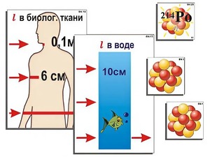 Модель-аппликация "Явление радиоактивности" (ламинированная) - fgospostavki.ru - Иркутск
