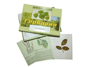 Гербарий "Дикорастущие растения" (30 видов, с иллюстрациями) - fgospostavki.ru - Иркутск