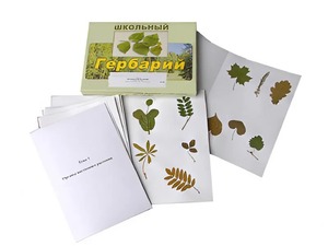 Гербарий "Морфология растений" (6 тем, 30 видов) - fgospostavki.ru - Иркутск
