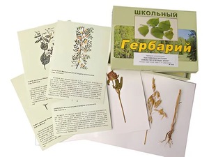 Гербарий "Систематика растений. Семейство Бобовые. Злаки" (раздаточный) - fgospostavki.ru - Иркутск