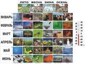 Фенологические наблюдения - fgospostavki.ru - Иркутск