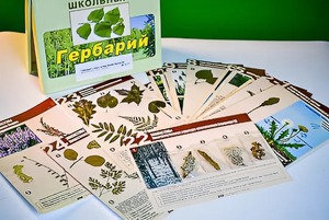 Гербарий к курсу основ общей биологии - fgospostavki.ru - Иркутск