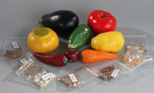 Коллекция "Плоды сельскохозяйственных растений" - fgospostavki.ru - Иркутск