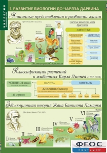 Комплект таблиц. Биология 10-11 класс. Эволюционное учение. - fgospostavki.ru - Иркутск