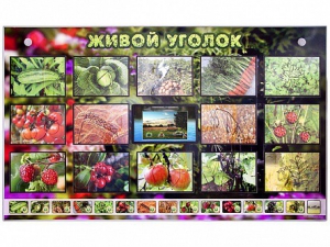 Комплект оборудования "Живой уголок" (растения) с тифлопереводом и сурдокомментариями - fgospostavki.ru - Иркутск
