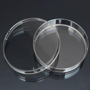 Чашка Петри стеклянная с крышкой 100х20 - fgospostavki.ru - Иркутск