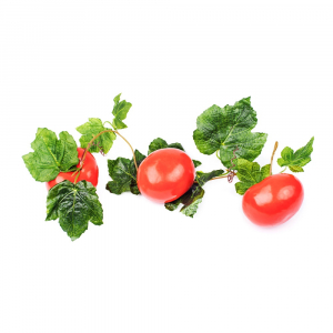 Ветка муляжей "Помидоры" - fgospostavki.ru - Иркутск