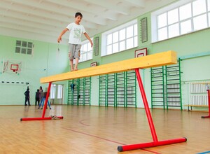 Бревно гимнастическое напольное постоянной высоты (700 мм) (5 м) - fgospostavki.ru - Иркутск