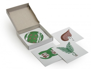 Модель-аппликация "Размножение папоротника" (набор из 8 карт) - fgospostavki.ru - Иркутск