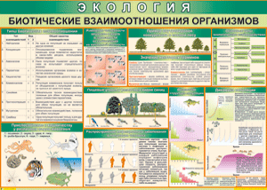 Таблица "Биотические взаимоотношения организмов" (100х140 сантиметров, винил) - fgospostavki.ru - Иркутск