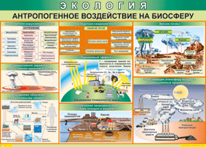 Таблица "Антропогенное воздействие на биосферу" (100х140 сантиметров, винил) - fgospostavki.ru - Иркутск