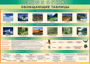 Таблица "Экология. Обобщающие таблицы" (100х140 сантиметров, винил) - fgospostavki.ru - Иркутск