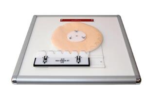 Комплекс "Изучение зубьев" - fgospostavki.ru - Иркутск