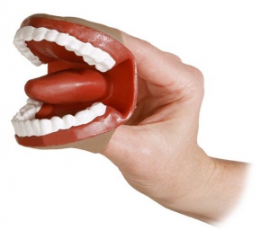 Муляж артикуляционного аппарата - fgospostavki.ru - Иркутск