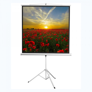 Экран на штативе DSKD-1105  - fgospostavki.ru - Иркутск