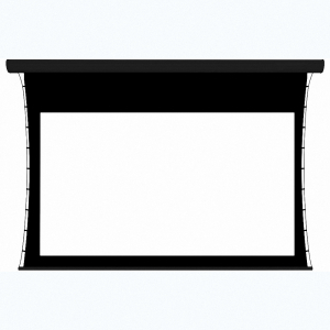 Экран настенный с электроприводом DSTPX-16918 - fgospostavki.ru - Иркутск