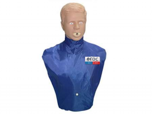 Тренажер-манекен взрослого пострадавшего "Искандер" для отработки приемов удаления инородного тела из верхних дыхательных путей - fgospostavki.ru - Иркутск