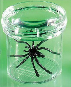 Баночка для изучения насекомых GeoSafari - fgospostavki.ru - Иркутск