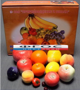 Набор муляжей фруктов (большой из 13 штук) - fgospostavki.ru - Иркутск