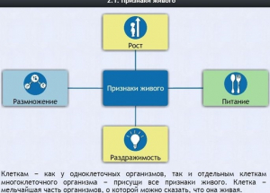 Интерактивные курсы. Биология 5 класс. Базовый - fgospostavki.ru - Иркутск