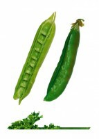 Комплект карточек "Запоминай, играй, считай" - Овощи - fgospostavki.ru - Иркутск