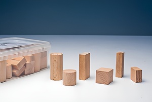 Игровой набор Фребеля "Конструктор" (50 элементов, бук, серия "Красота вокруг нас") - fgospostavki.ru - Иркутск